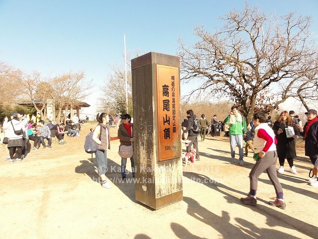 東京近郊日帰り登山 高尾山 陣馬山縦走 奥高尾縦走 登山 東からルート徹底解説