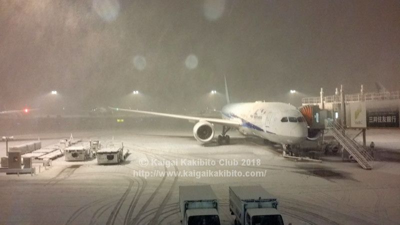 海外在住ライター直伝 大雪で国際線が欠航した 成田空港現地レポート